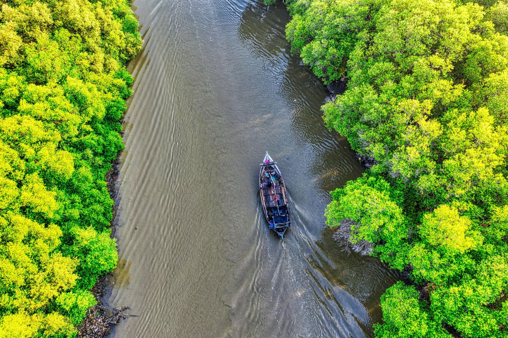 An aerial view of a boat floating down a river surrounded by trees.
