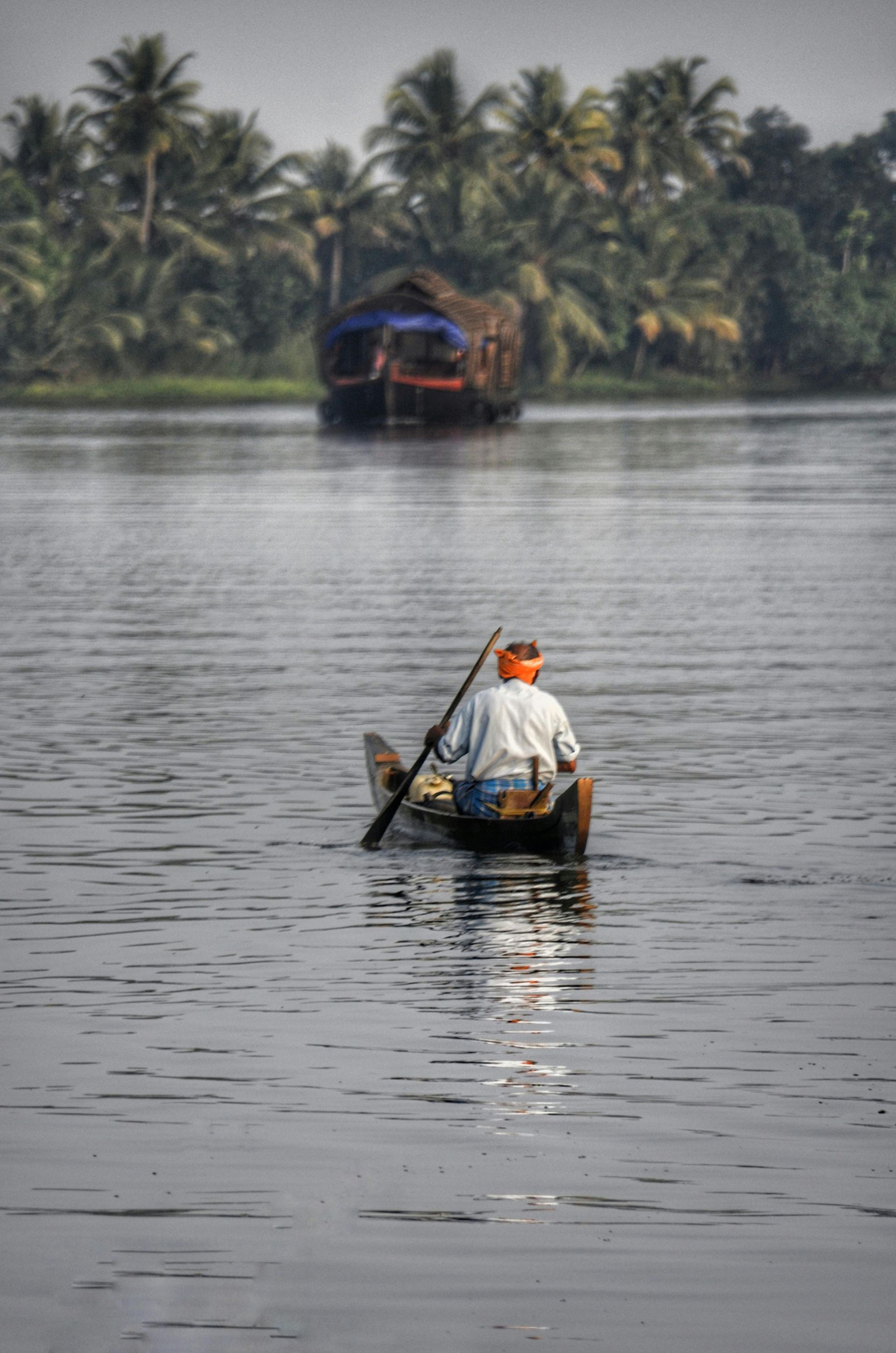 A man is rowing a boat on a river.