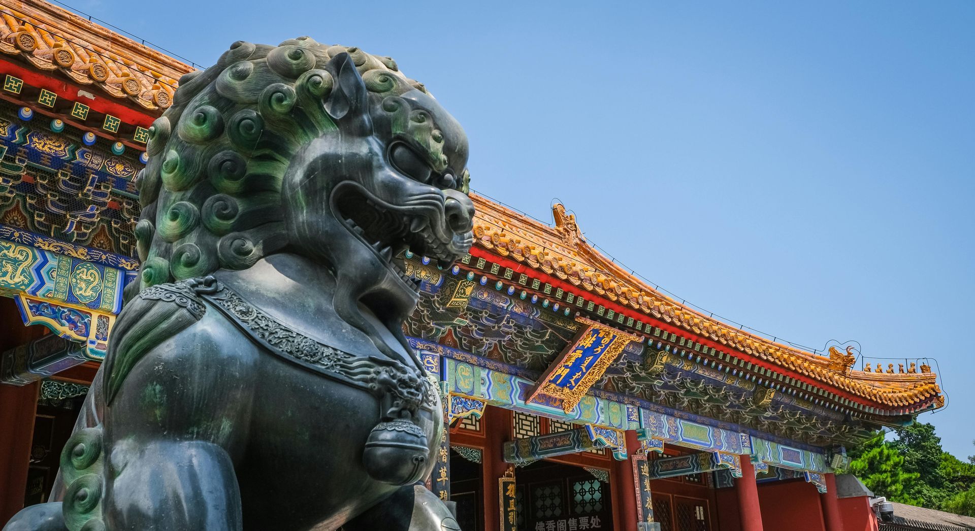 There is a statue of a lion in front of a building.