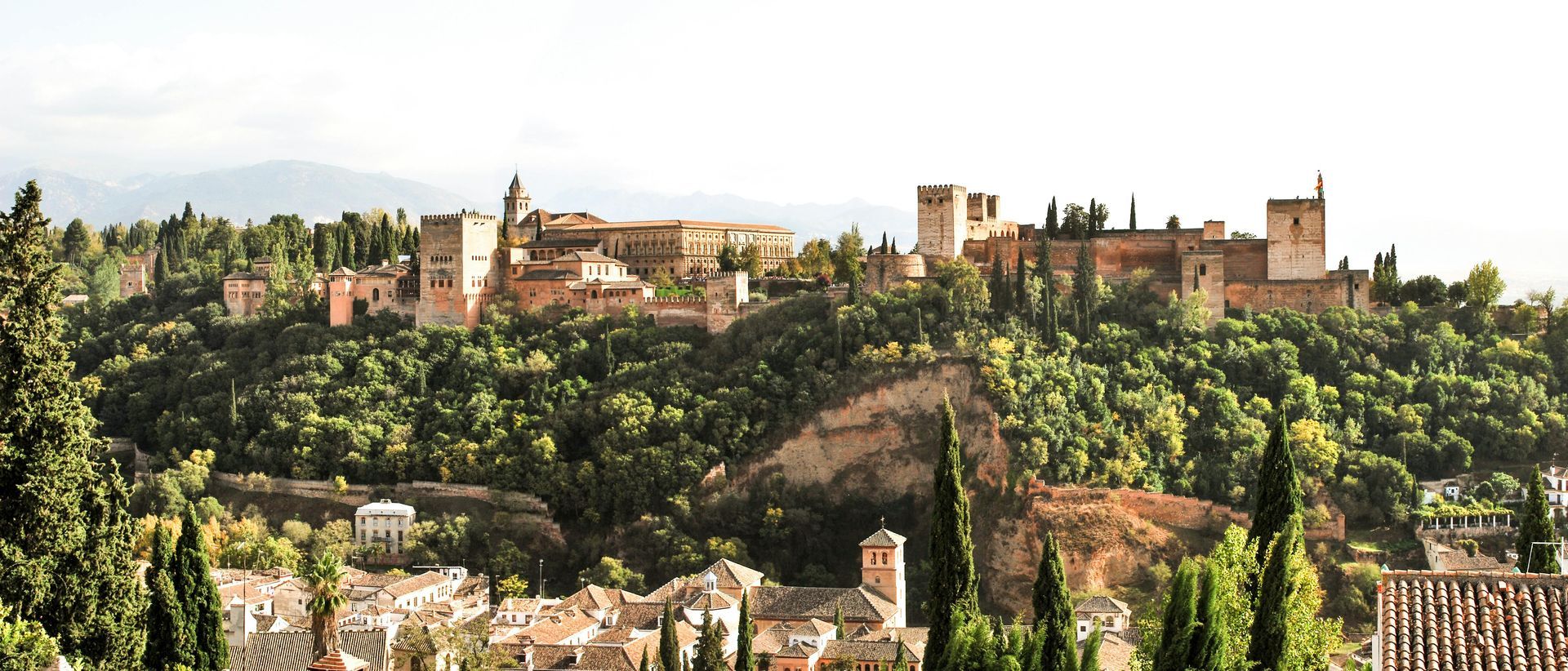 A city sits on top of a hill surrounded by trees
