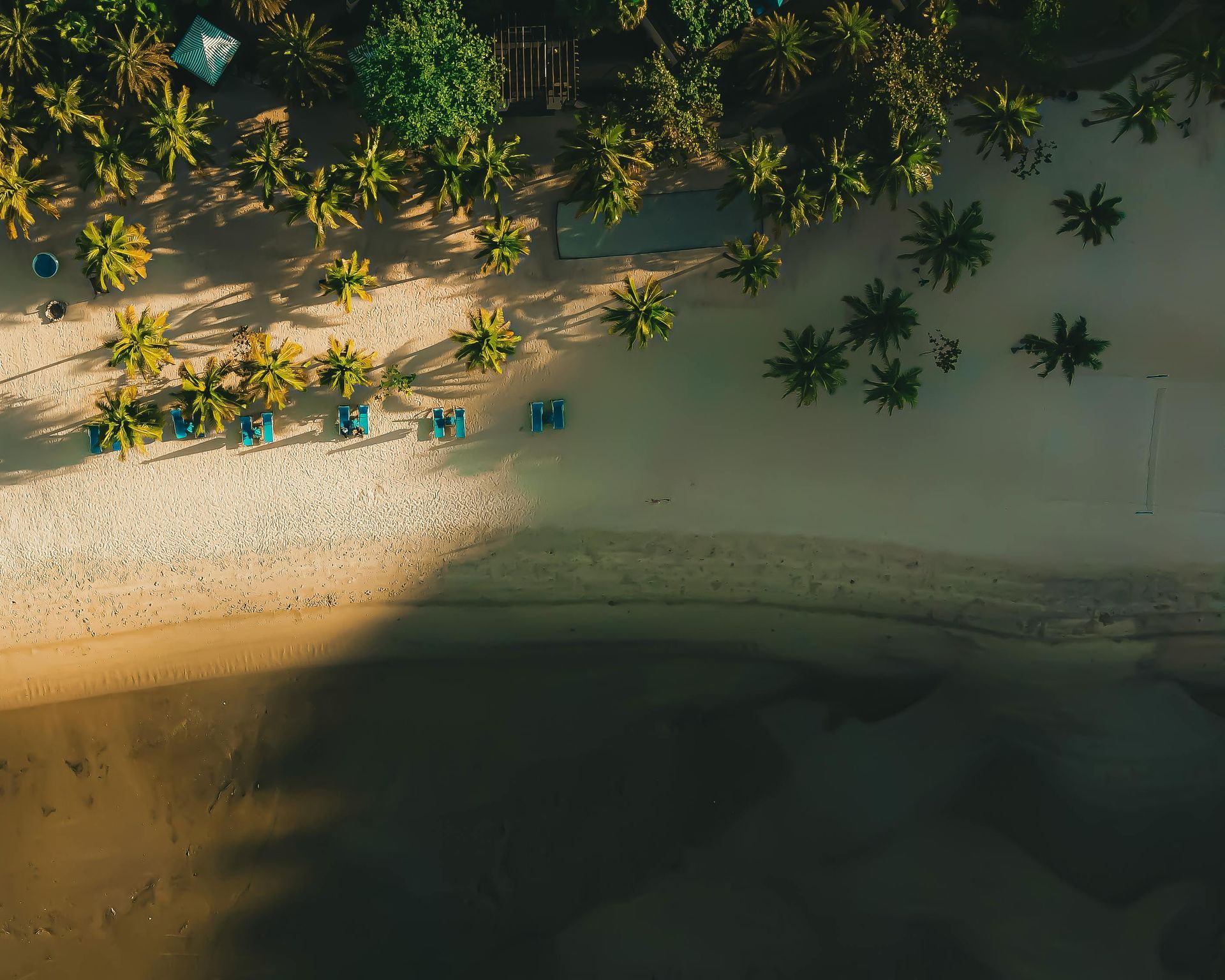 An aerial view of a beach with palm trees and umbrellas.