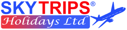 The logo for sky dream part of skyfly travel agent ltd