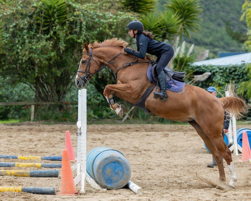 A woman is riding a brown horse over a barrel.