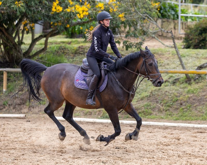 A woman is riding a brown horse on a dirt track.