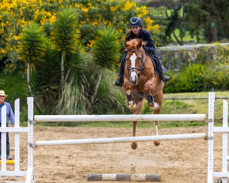 A person is riding a horse over a jump.