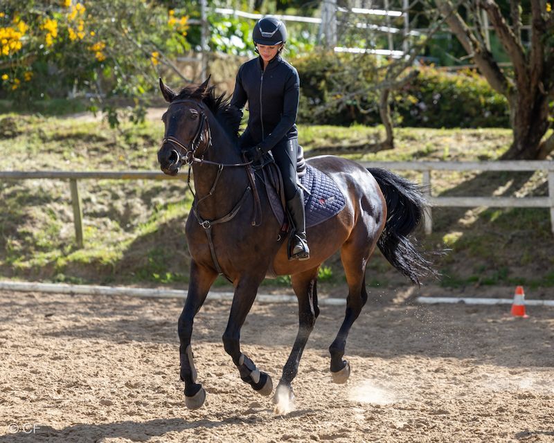 A woman is riding a brown horse in a dirt arena.