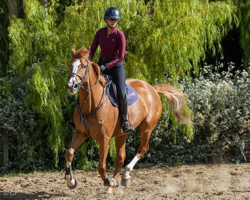 A woman is riding a brown horse in a dirt field.