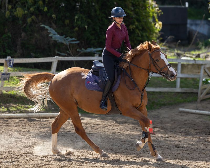 A woman is riding a brown horse in a fenced in area