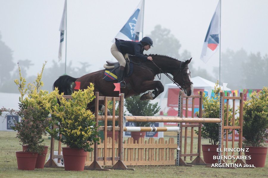 A person riding a horse jumping over a wooden fence