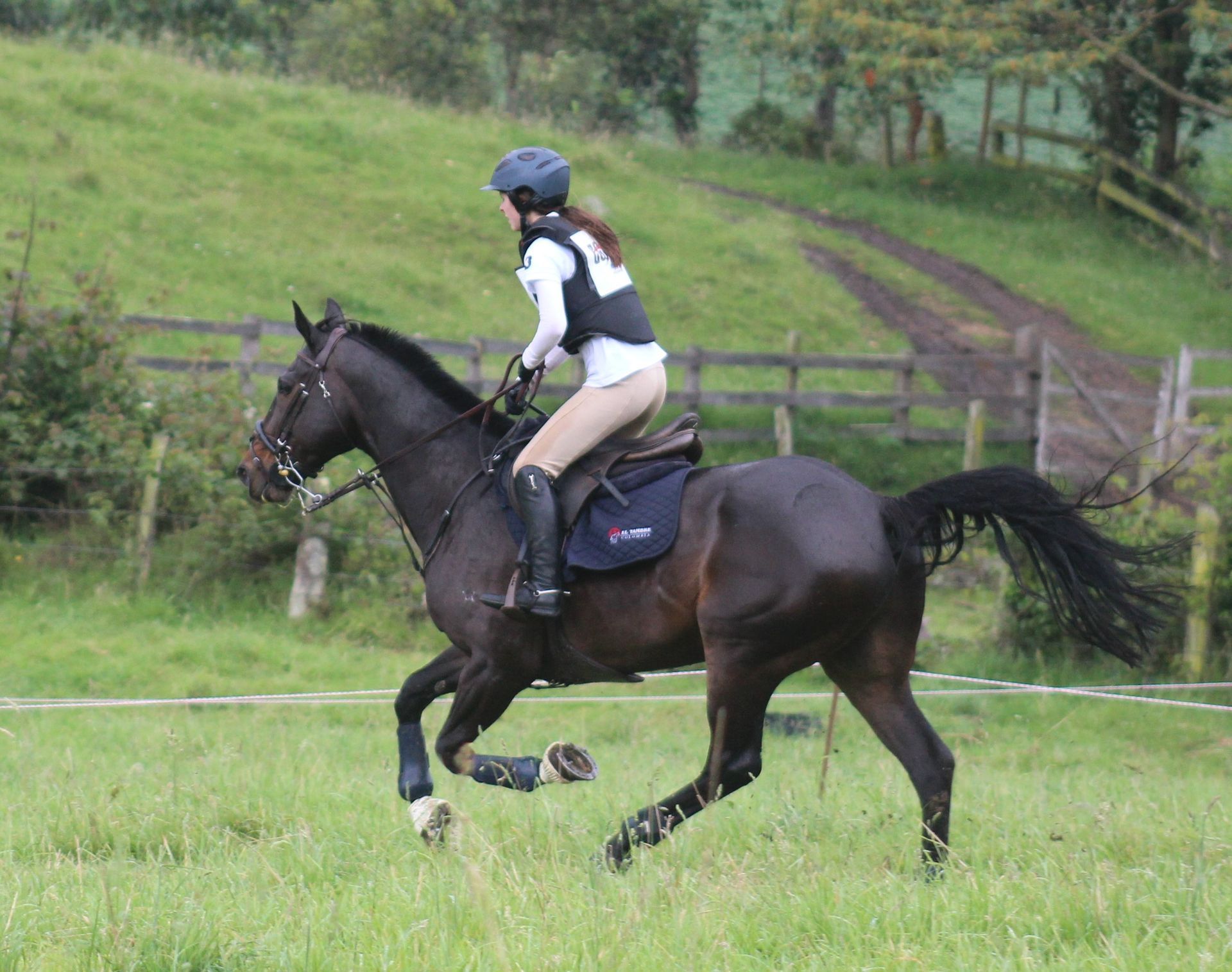 A woman is riding a horse in a field.