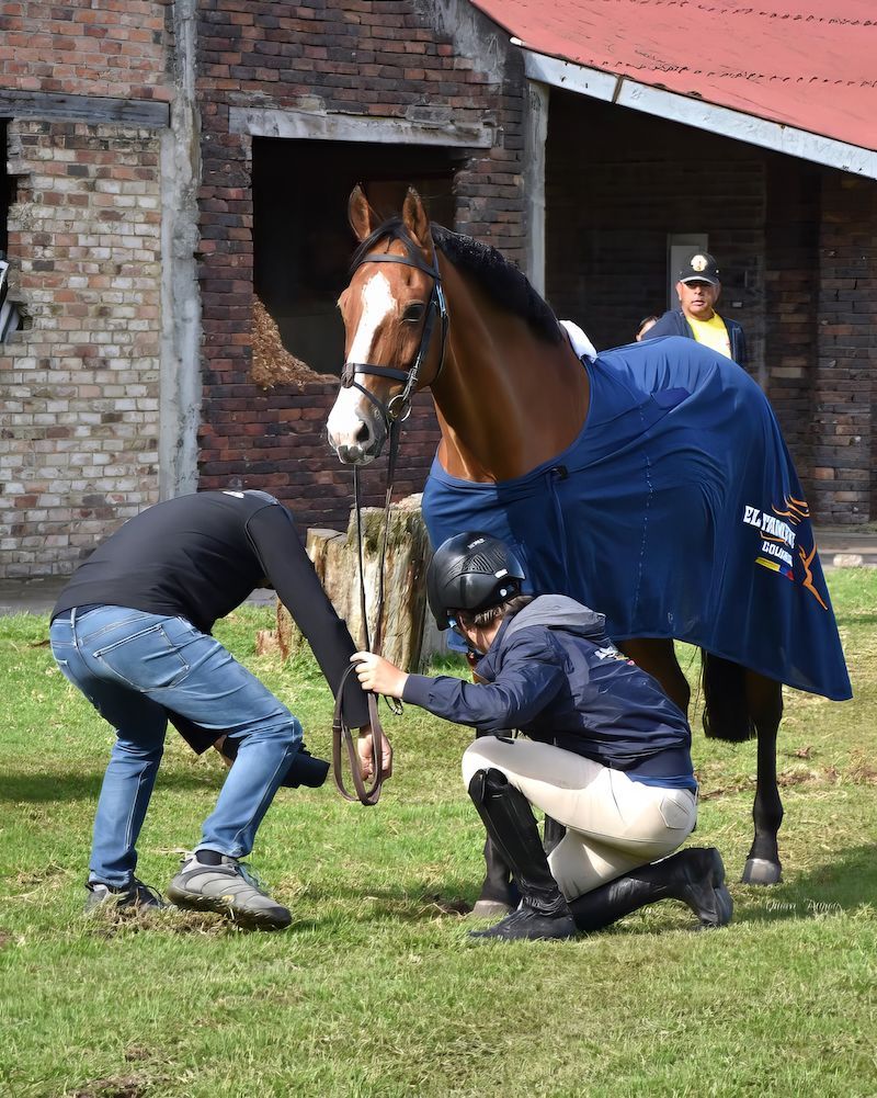 Two people are kneeling next to a horse in a field.