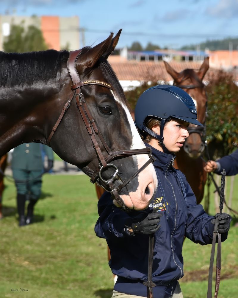 A person is standing next to a horse wearing a helmet.