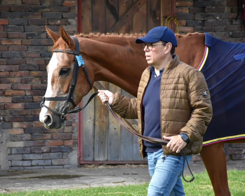 A man is walking a brown horse on a leash