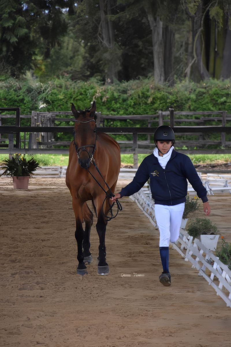 A man is walking a brown horse on a dirt path.