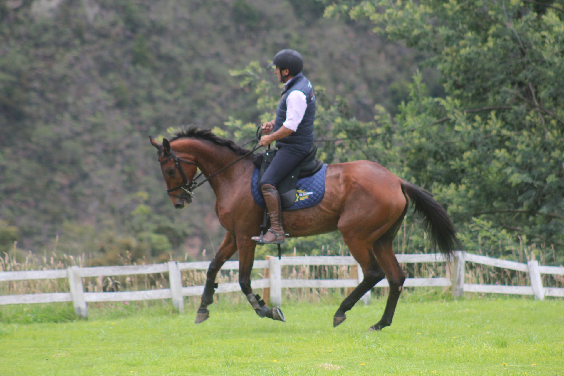 A man is riding a brown horse in a field.