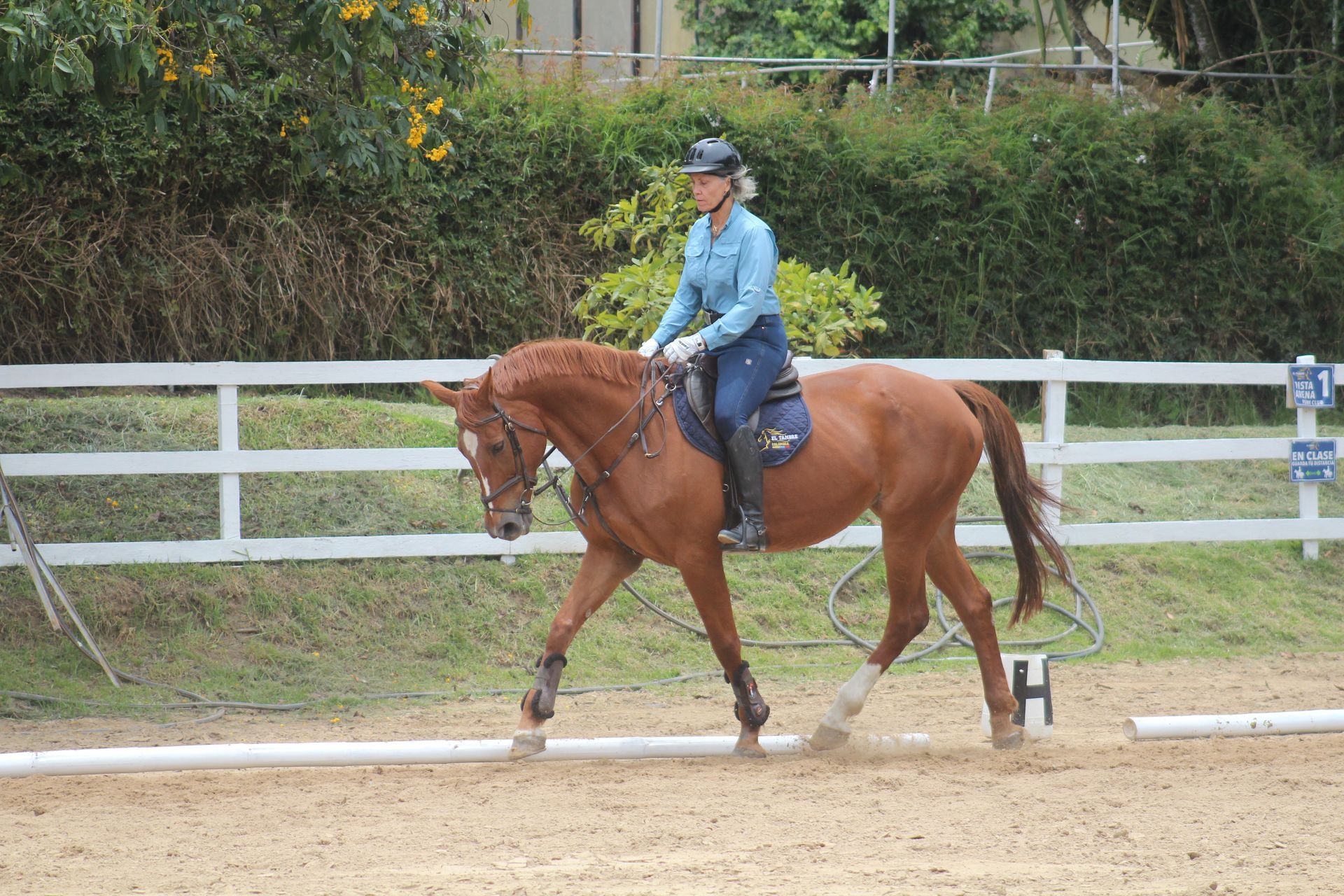 A woman is riding a brown horse in a fenced in area.
