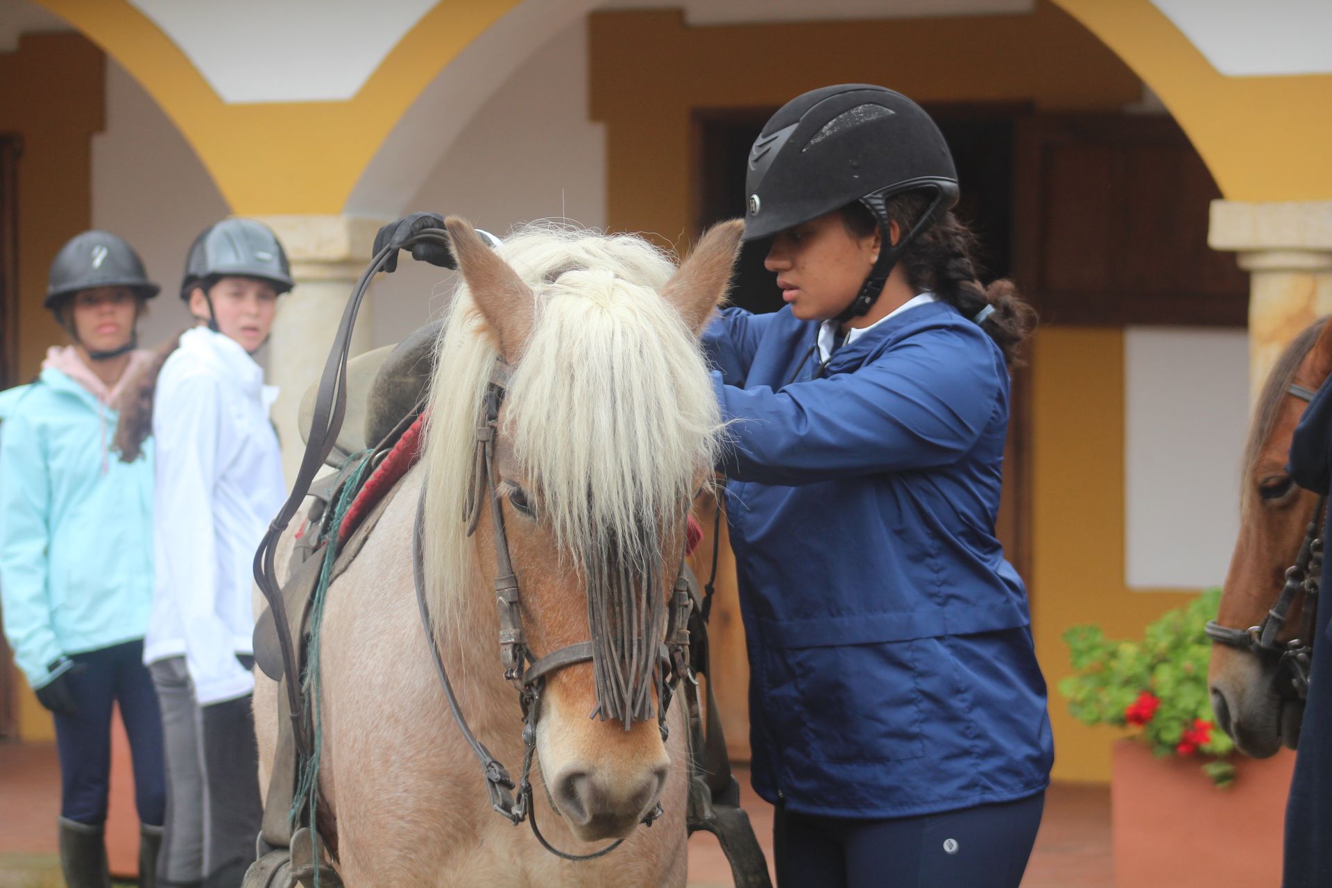 A woman in a blue jacket is putting a bridle on a horse