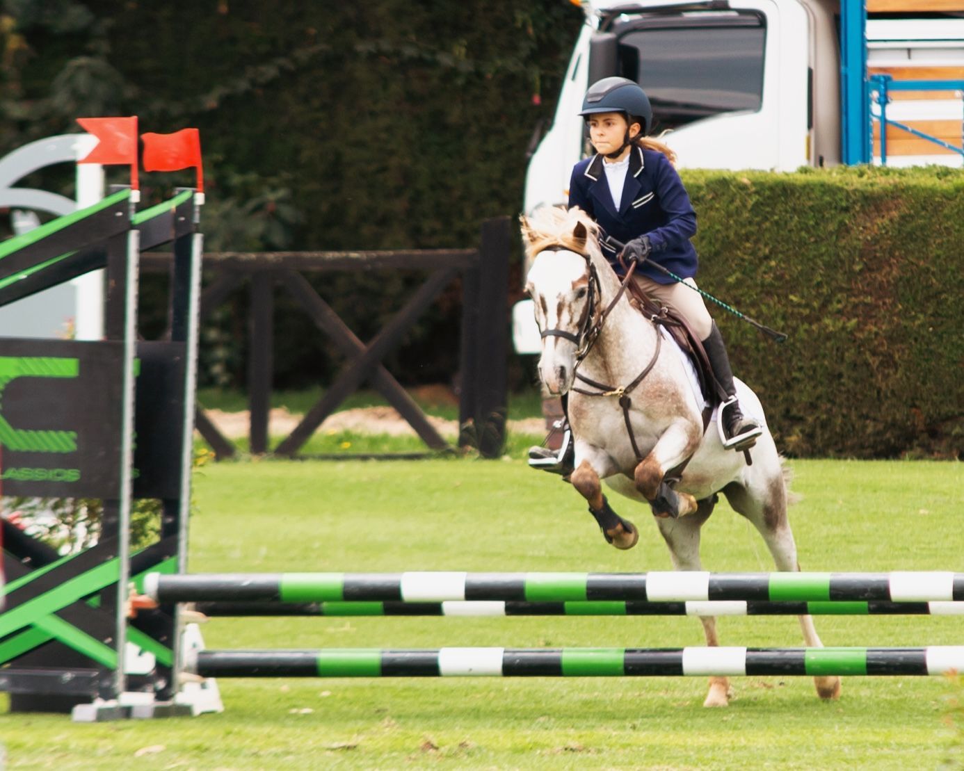 A person riding a horse jumping over a green and black hurdle