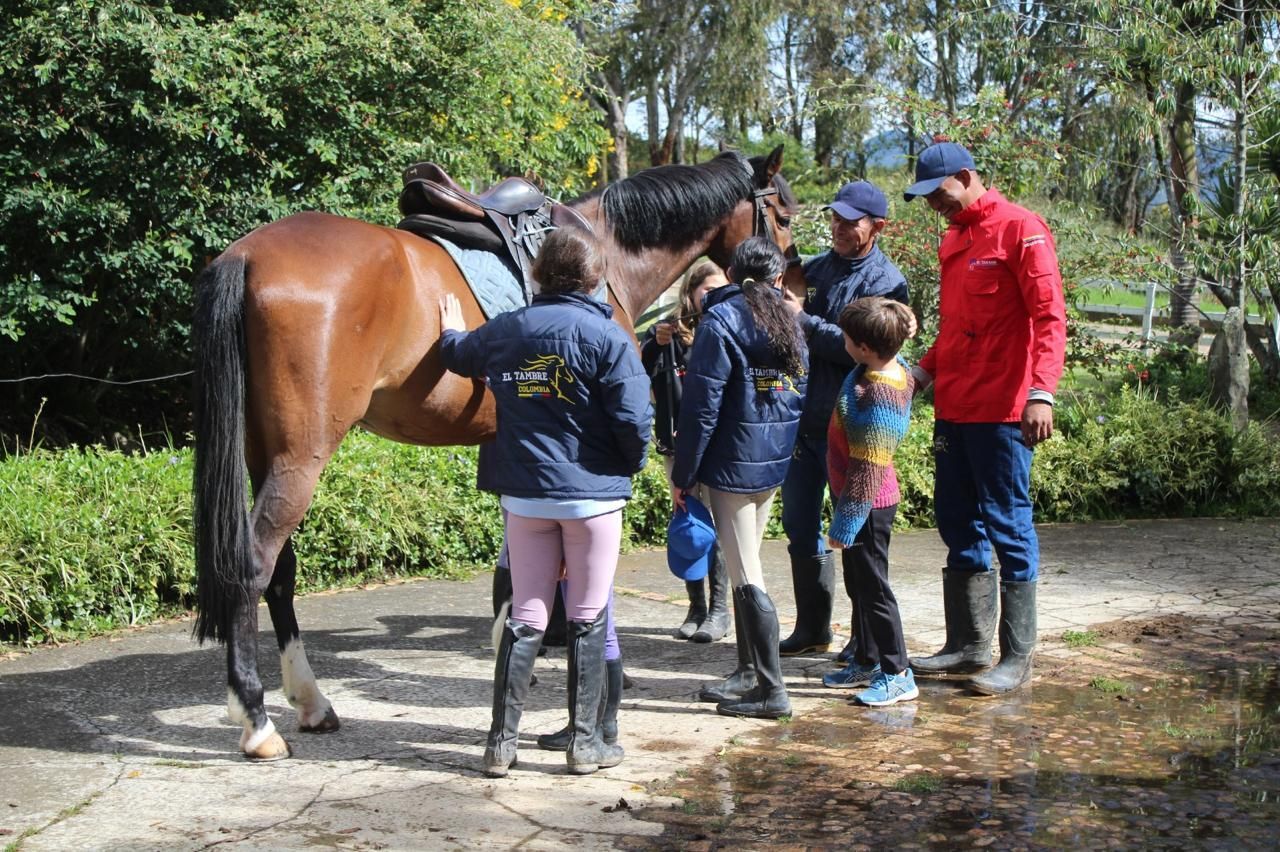A group of people are standing around a brown horse.