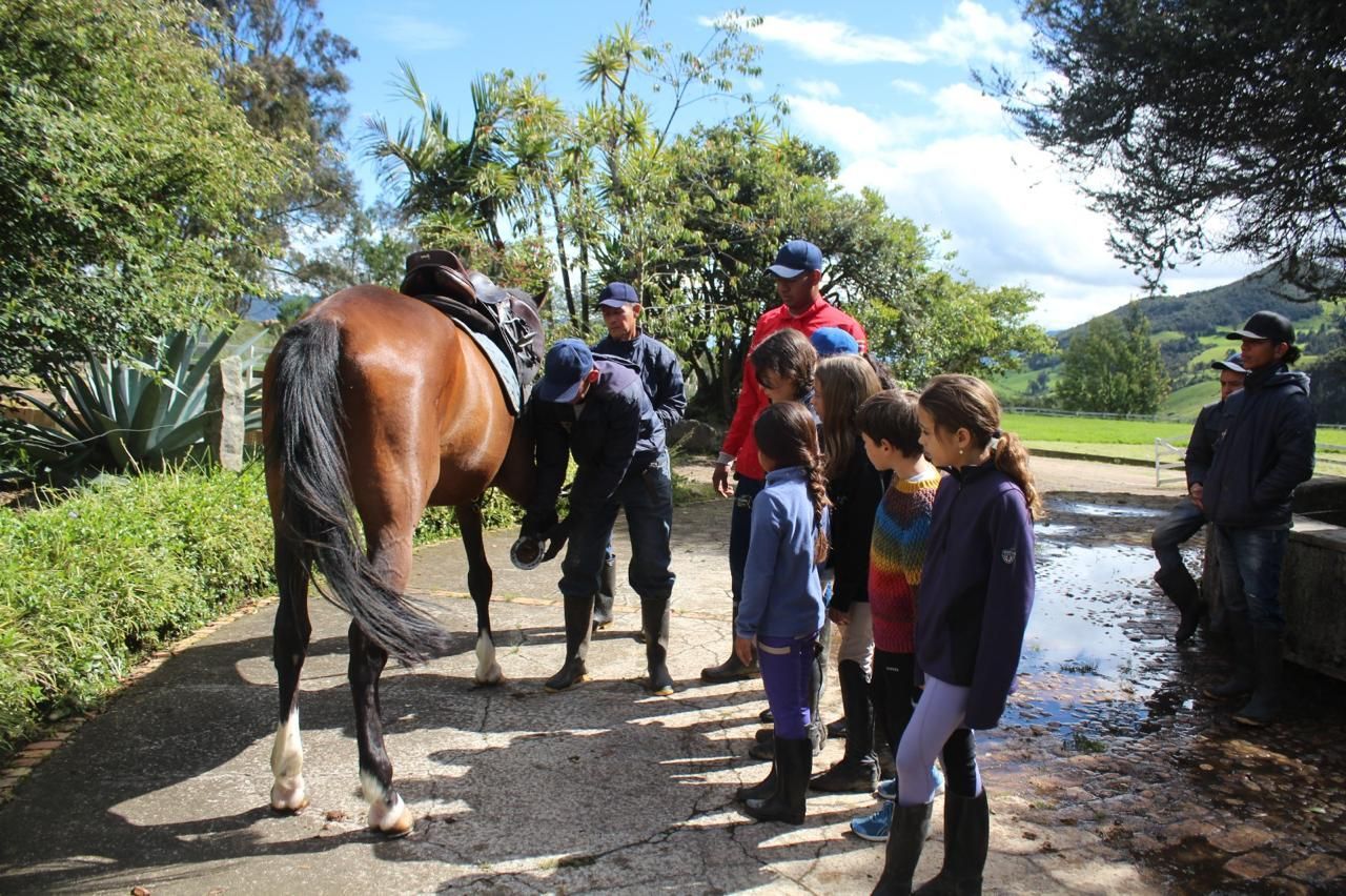 A group of people standing around a brown horse