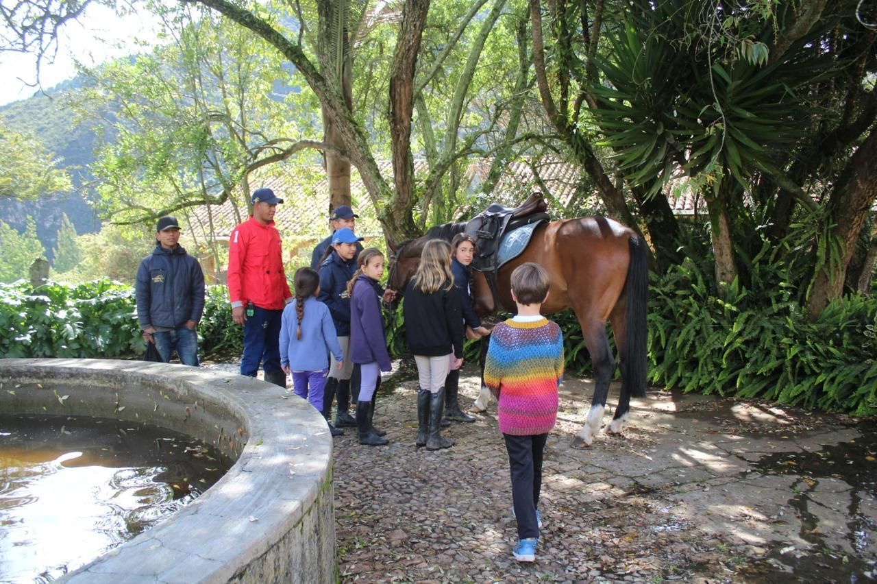 A group of people are standing around a horse in the woods.