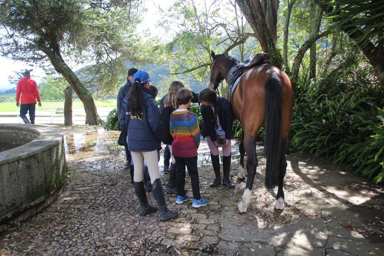 A group of children are standing next to a brown horse.