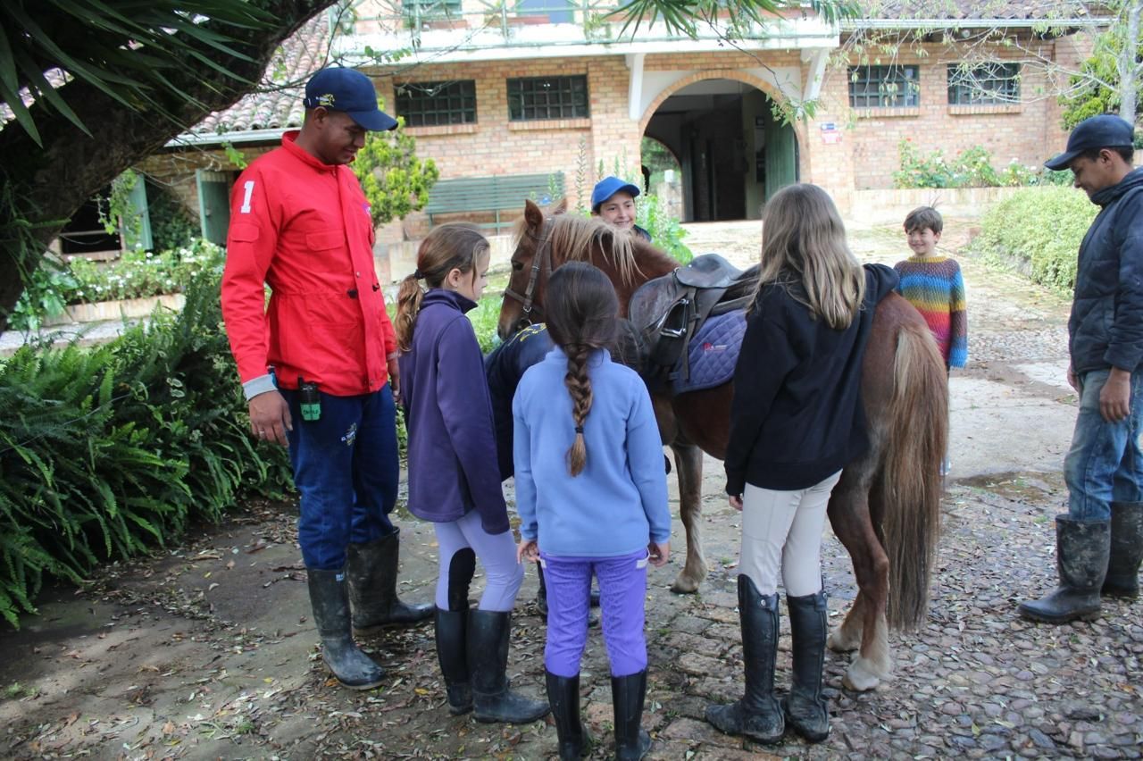 A group of children are standing around a brown horse.