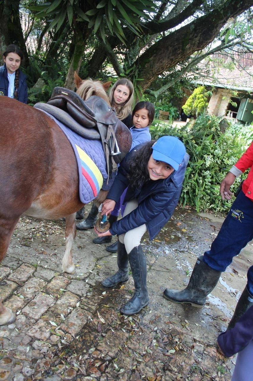 A group of people standing around a brown horse