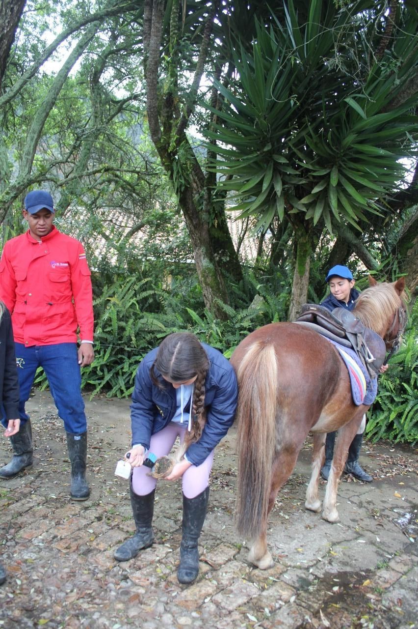 A group of people are standing around a horse.