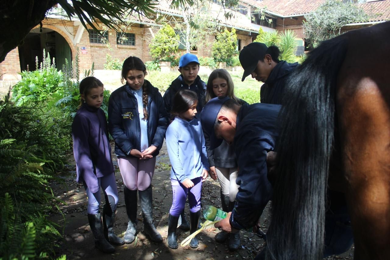 A group of people are standing around a horse