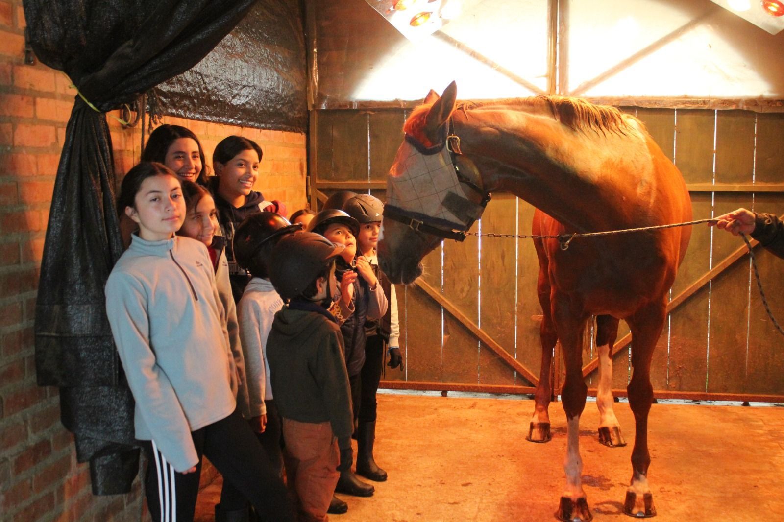 A group of people standing around a horse in a stable