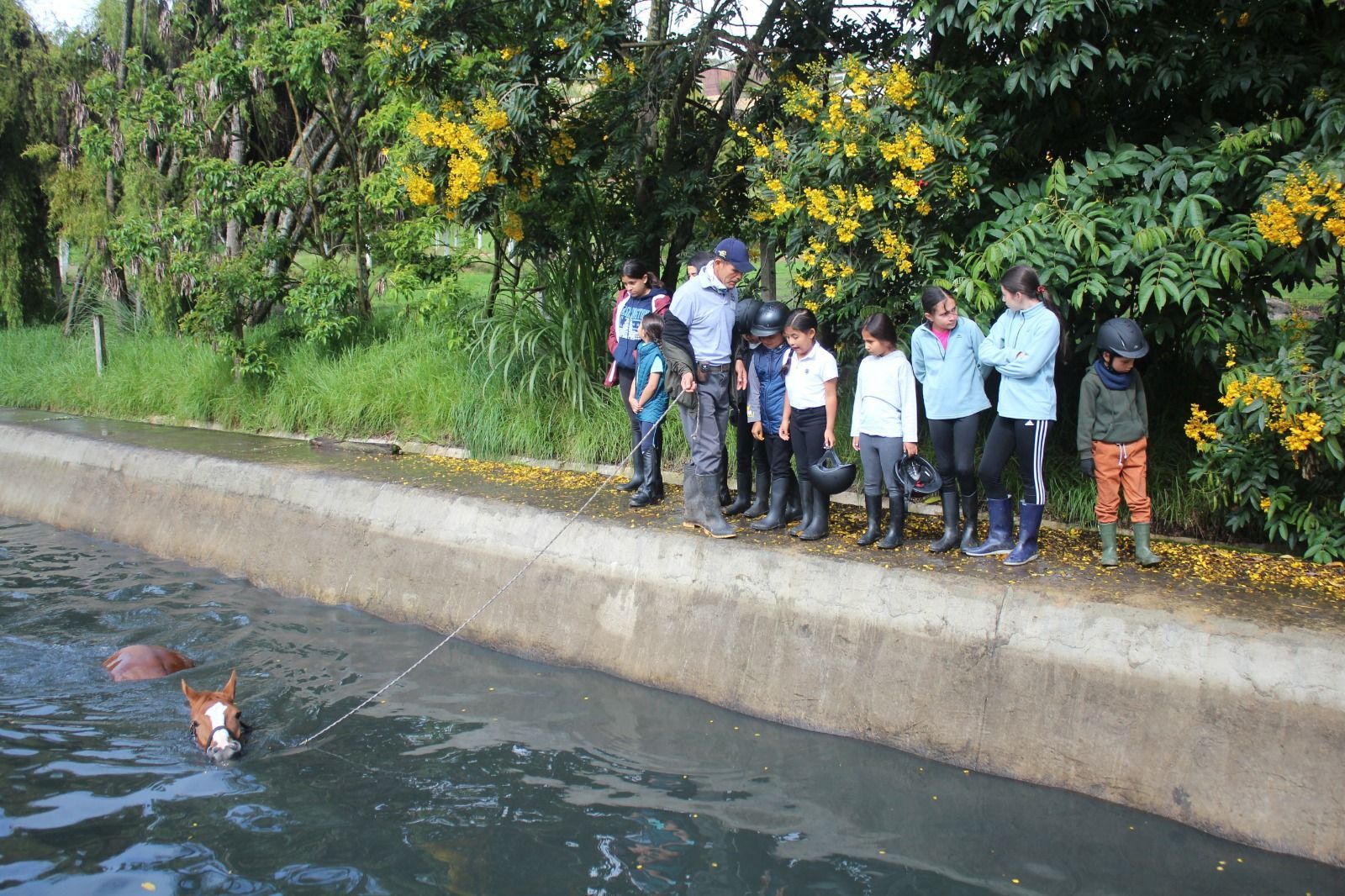 A group of people watching a horse in the water