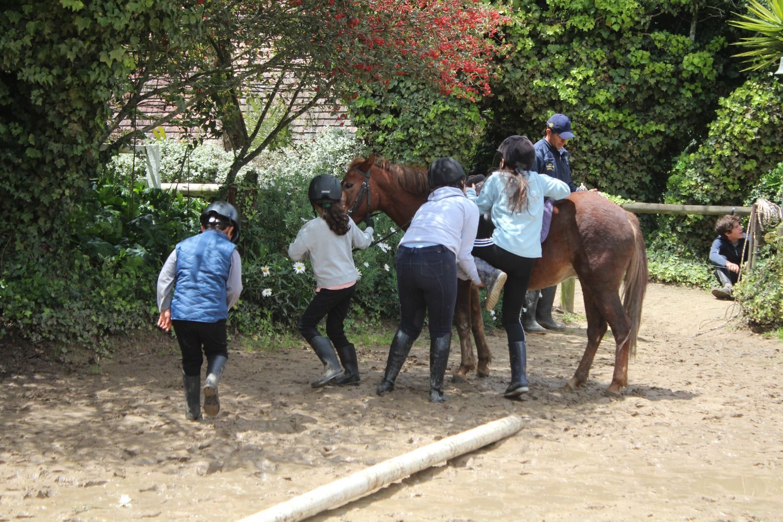 A group of people are riding horses in a dirt field.