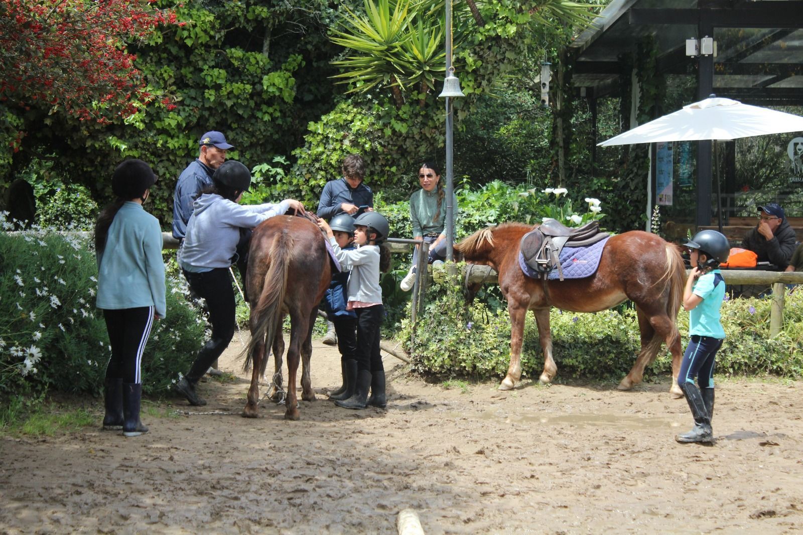 A group of people are standing around a horse in a dirt field.