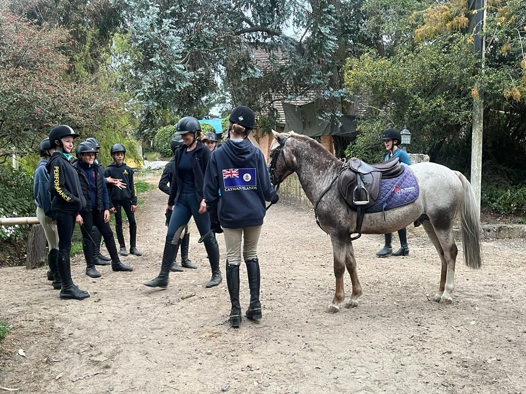 Un grupo de personas está parada alrededor de un caballo en un campo de tierra.