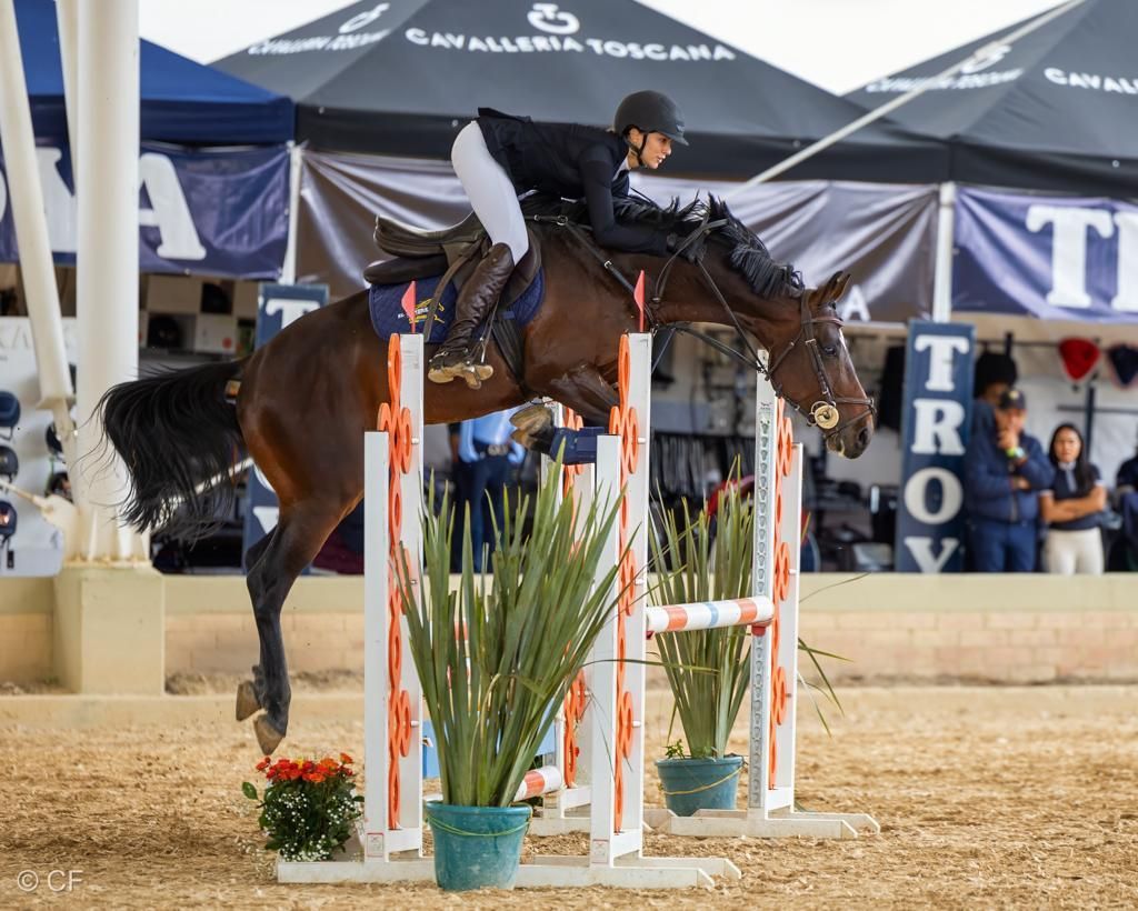Un caballo saltando un obstáculo con un cartel que dice troya al fondo