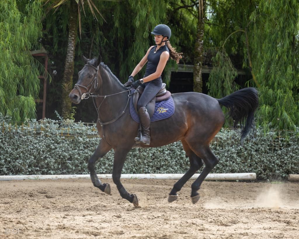 Una mujer monta un caballo marrón con una silla morada