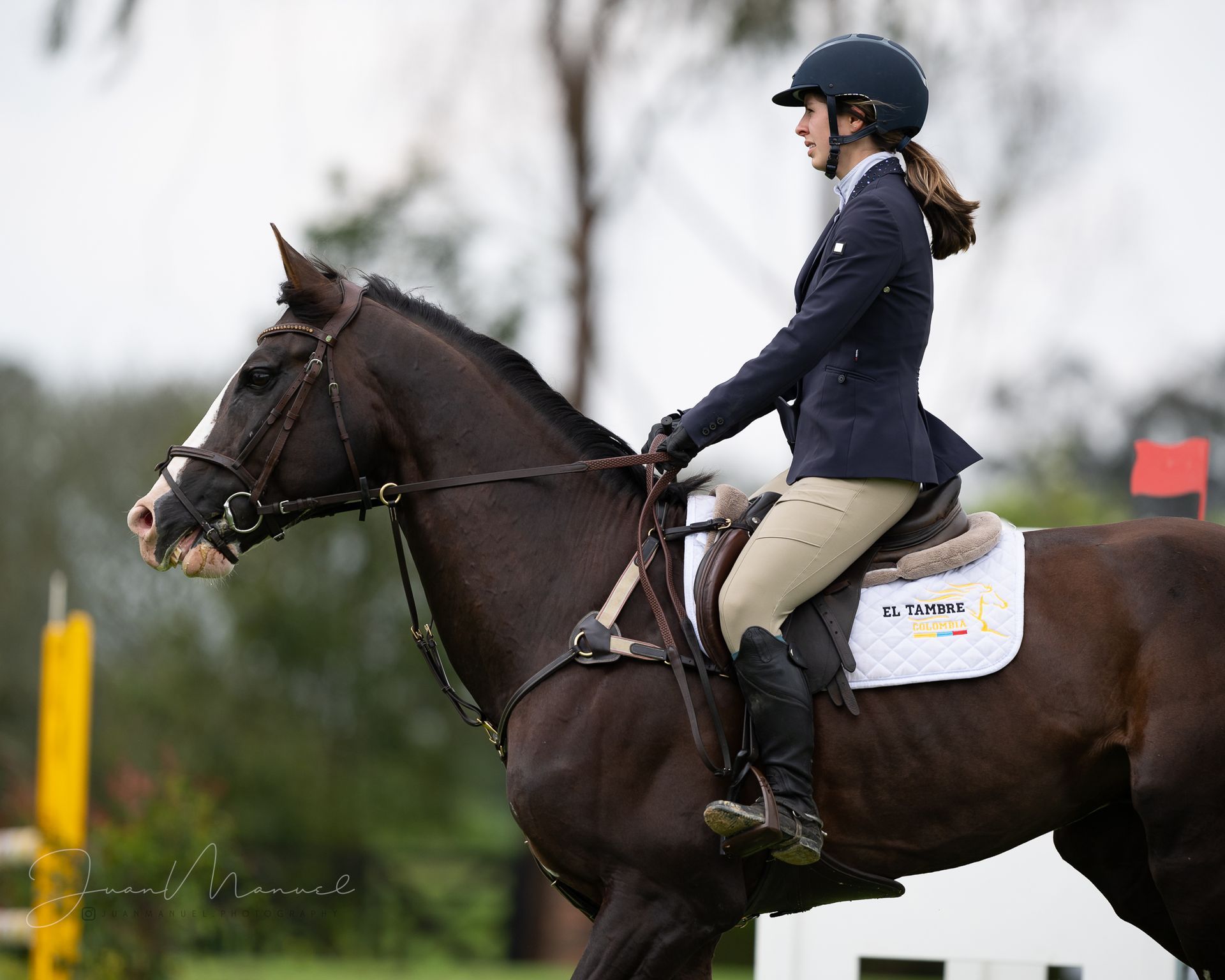 A woman wearing a helmet is riding a brown horse