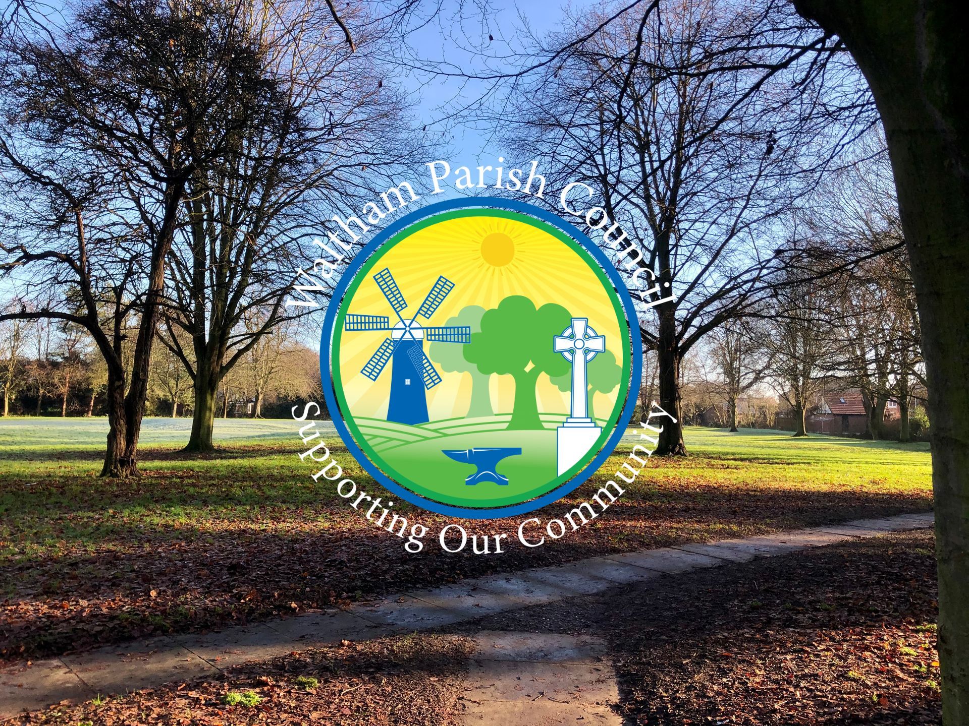 A park with trees and leaves on the ground on a sunny day.