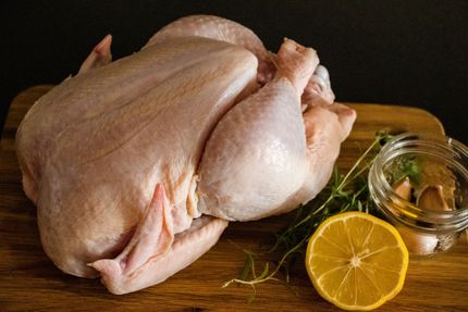 wholesale poultry delivery