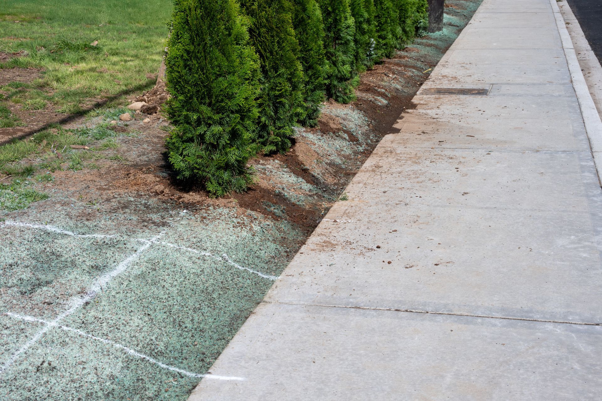 A sidewalk borders a strip of mulch with a row of evergreen shrubs and a patch of grass marked with white paint.