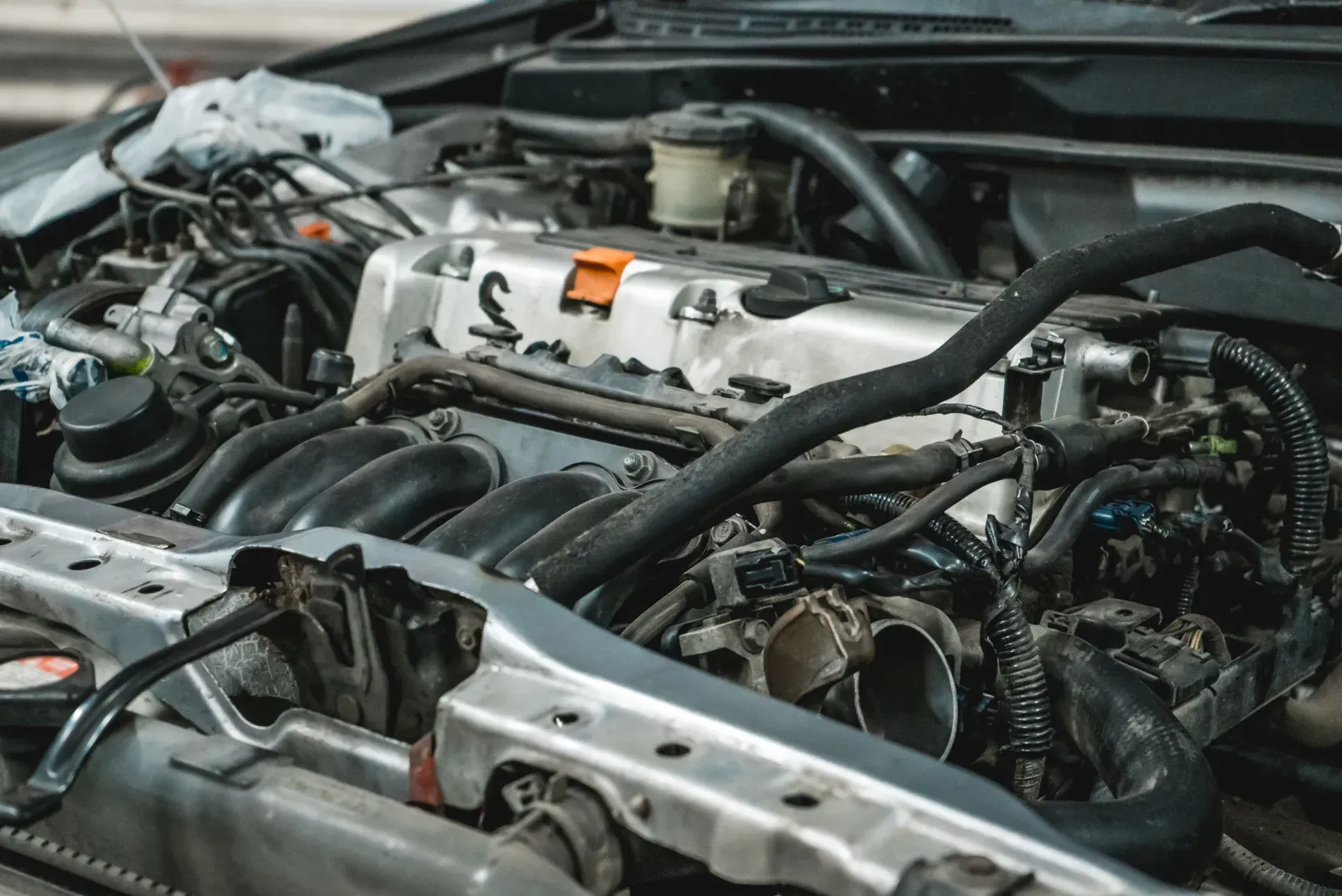 Car Engine Bay — A.M.D. Automotive Services in Rural View, QLD