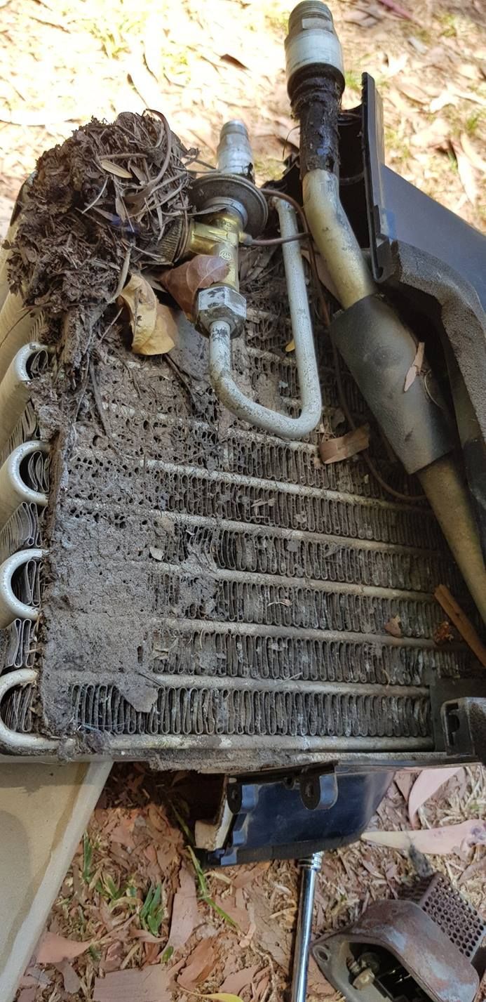 A Dirty Car Air Conditioning Condenser With a Nest on Top — A.M.D. Automotive Services in Mackay, QLD