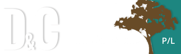 TREE REMOVAL IN SINGLETON & MUSWELLBROOK