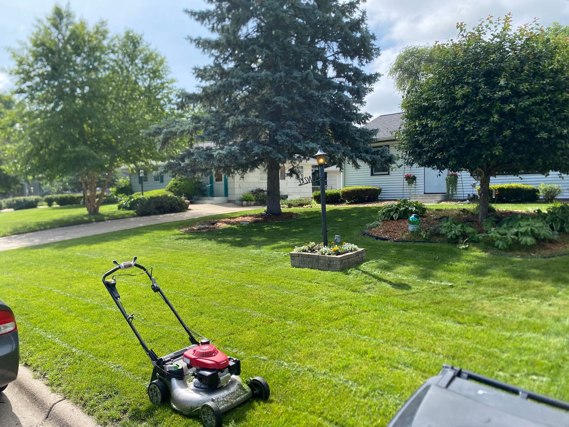 Lawnmower on a green lawn with a tree in the background, sunny day.