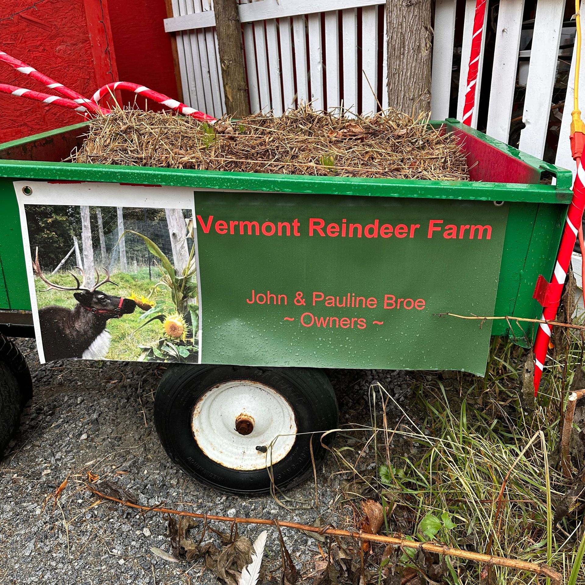 The Vermont Reindeer Farm