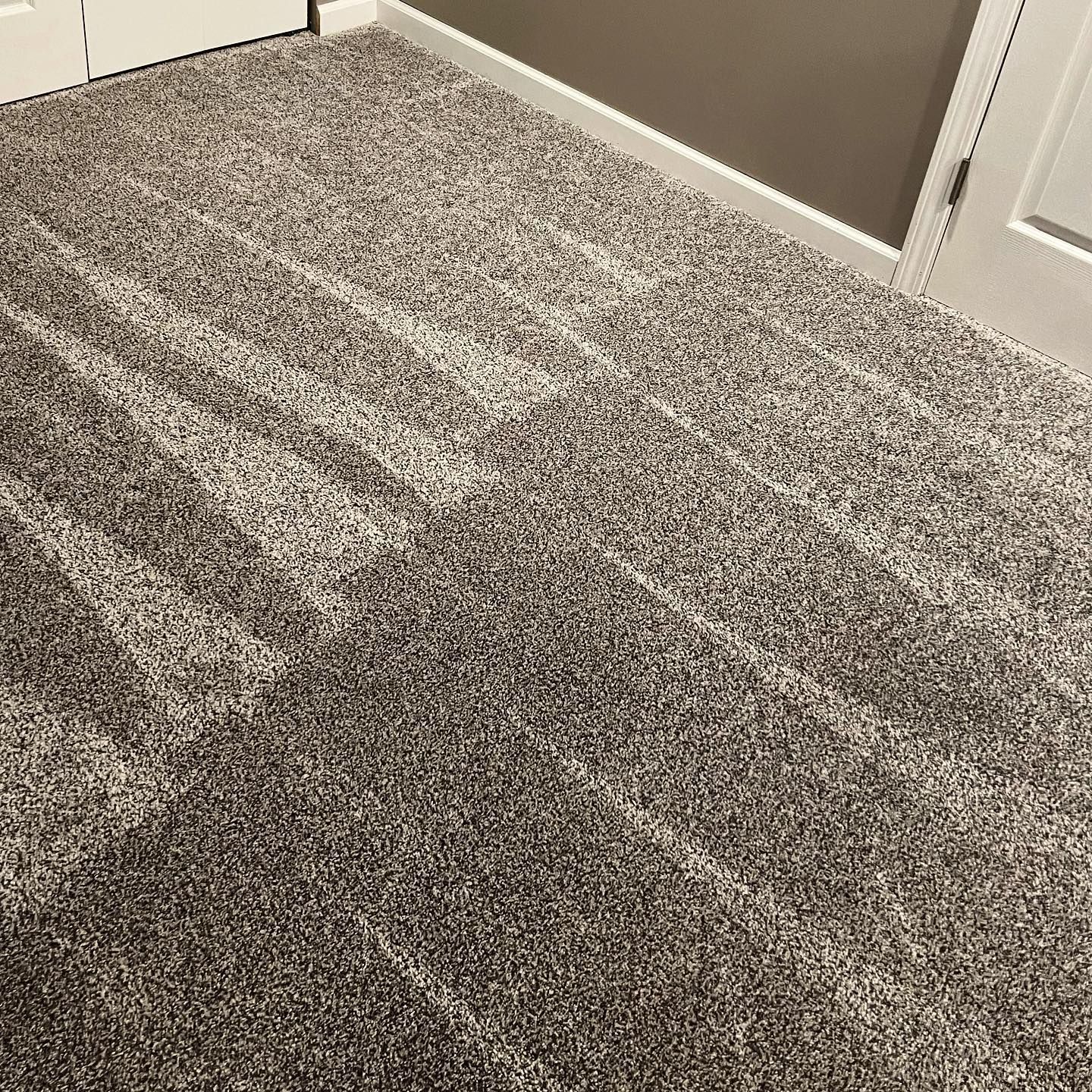 A close up of a carpeted floor in a room.