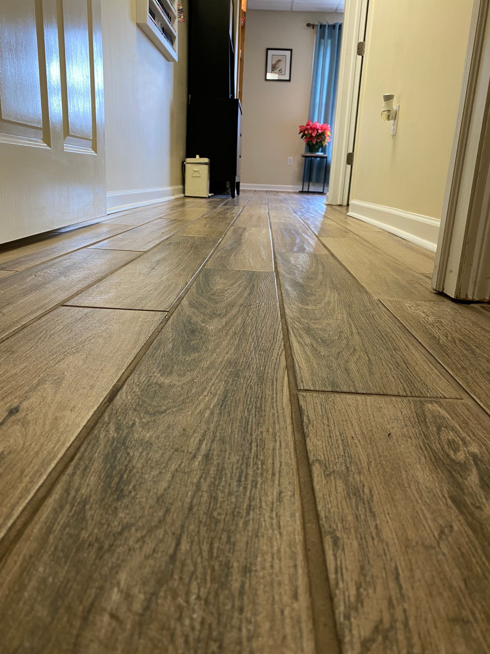 A hallway with a wooden floor and a door leading to a living room.