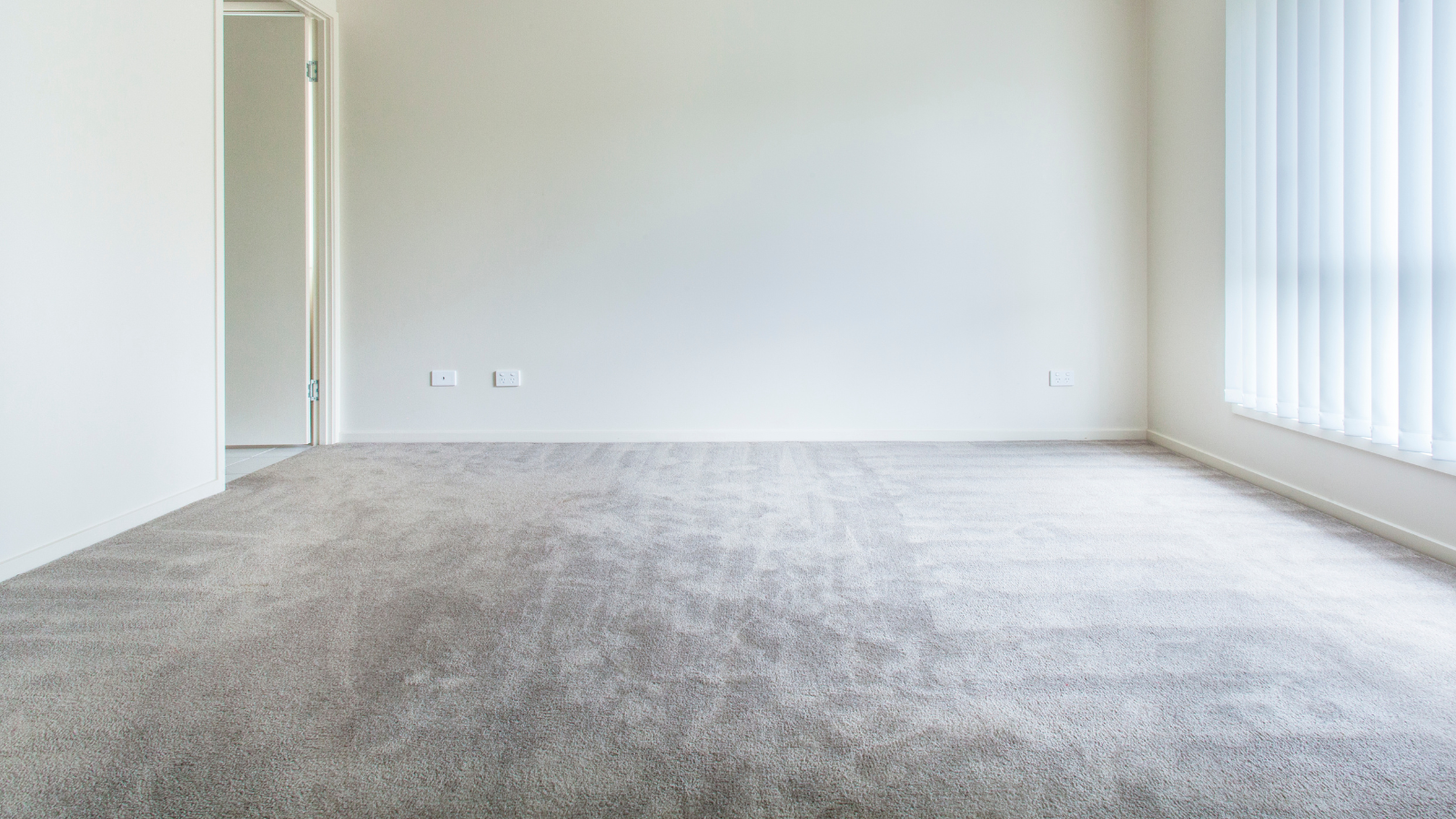 An empty living room with a gray carpet and white walls.