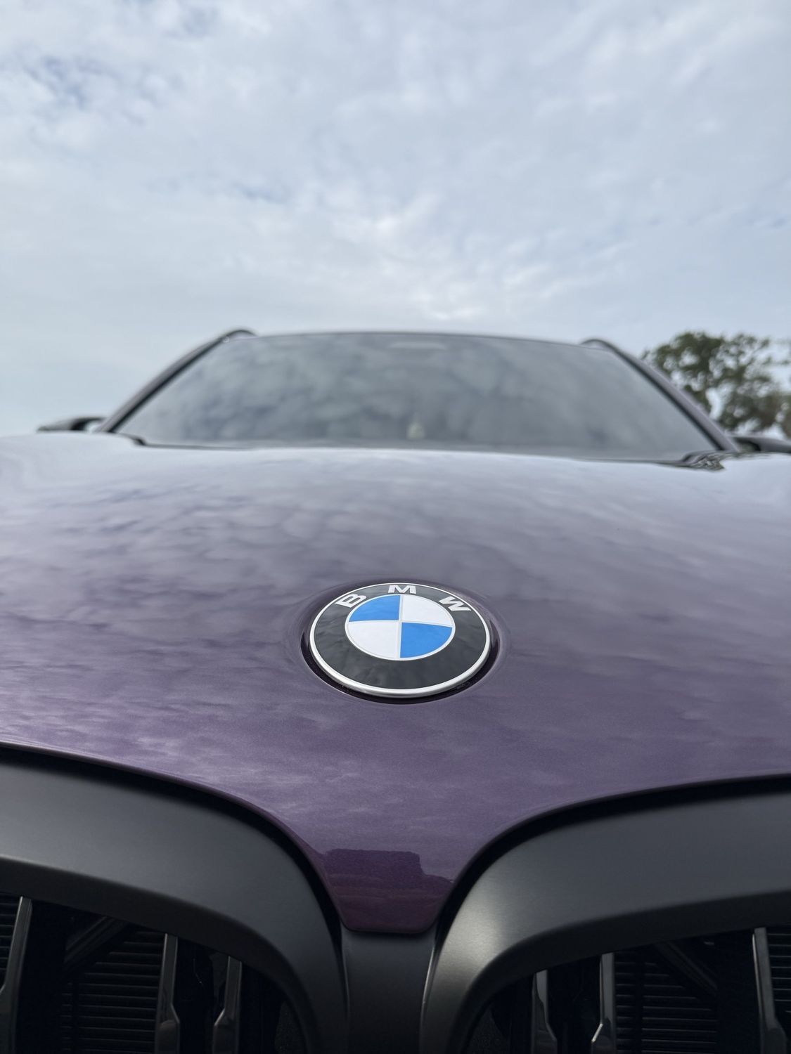 Hood of a purple 2026 BMW X5 with CARPRO CQUARTZ DLight ceramic coating over CovrGard GLOS paint protection film